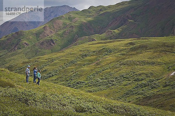 Älteres Paar und Frau mittleren Alters wandern in der Tundra im Toklat-Flussgebiet im Denali-Nationalpark  Alaska  im Sommer