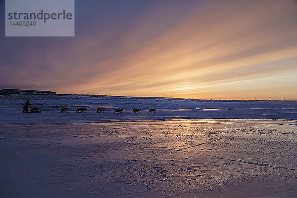 Aaron Burmeister läuft bei Sonnenuntergang während des Iditarod 2015 vom Unalakleet-Kontrollpunkt aus über den Slough.