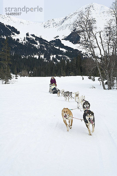 Geführte Hundeschlittenfahrt in Moose Meadows im Alyeska Resort in der Nähe von Girdwood in Süd-Zentral-Alaska