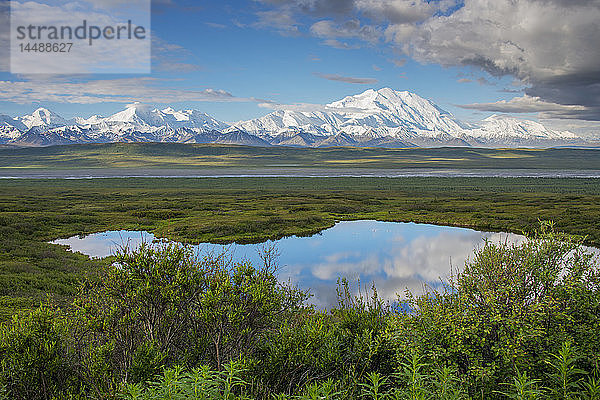 Aussicht auf den Mt. McKinley und den Reflection Pond  Denali National Park  Alaska  Frühling