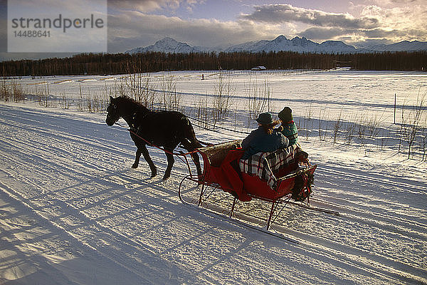 Pferdeschlitten in Chugach Mtns SC AK Winter Mat-Su Valley