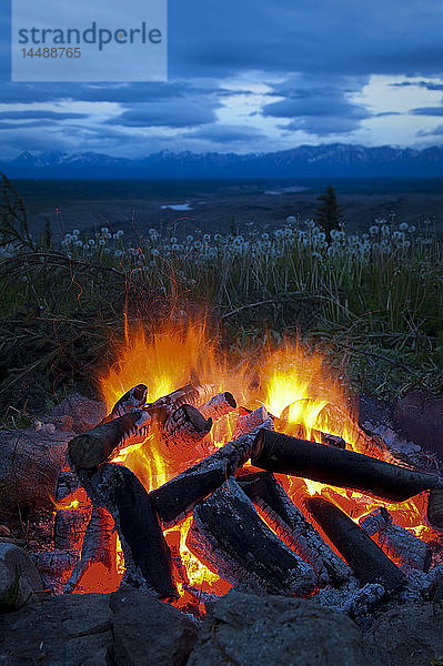 Nahaufnahme eines Lagerfeuers mit Blick auf die Chugach Mountains in der Ferne  Wrangell St. Elias National Park & Preserve  Southcentral Alaska
