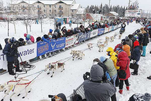 Jim Lanier läuft beim offiziellen Start des Iditarod 2015 in Fairbanks  Alaska  die Startrutsche hinunter.