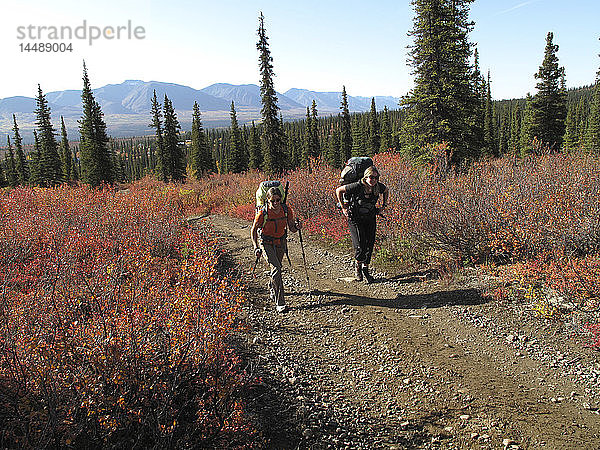 Zwei Frauen auf dem Weg zum Oberlauf des Sanctuary River im Denali National Park  Alaska  Herbst