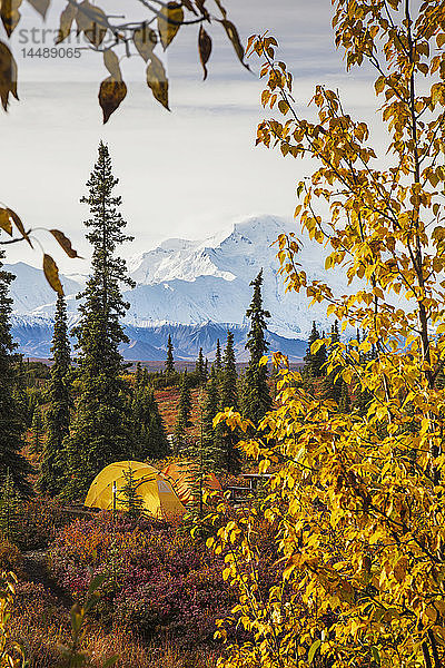 Blick auf Zelte auf dem Wonder Lake Campingplatz mit dem Mt. McKinley (Denali) am Horizont im Hintergrund  herbstlich gefärbte Vegetation im Vordergrund  Denali National Park  Alaska. Herbst.