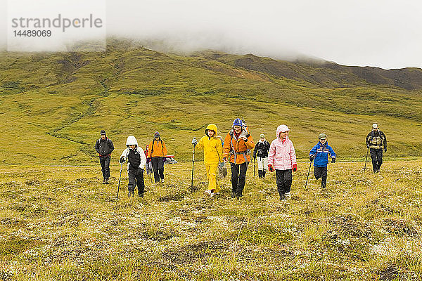 Gruppe geführter Wanderer in der Tundra bei Regen und Nebel in der Nähe des Highway Pass  Alaska Range  Denali National Park  Interior Alaska  Sommer/n