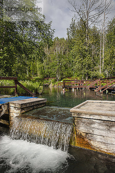 Kleiner Wasserfall bei Liard River Hot Springs  Liard River Hot Springs Provincial Park  British Columbia  Kanada  Sommer