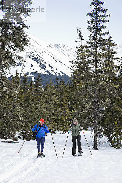 Ein älteres Paar geht mit Schneeschuhen durch einen Fichtenwald in der Nähe des Moose Meadow Trail in Girdwood  Süd-Zentral-Alaska  Frühling