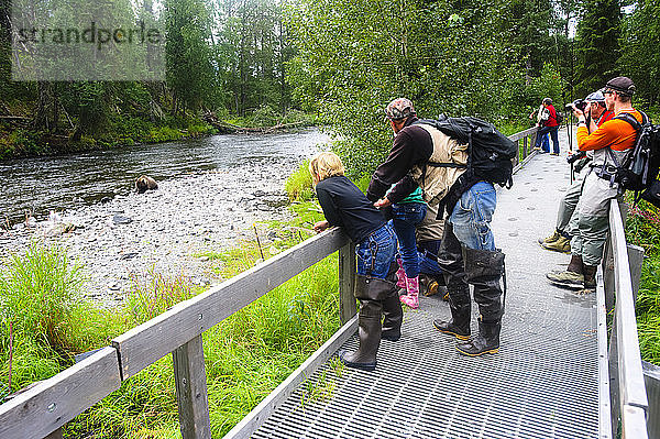 Fischer halten an der Uferpromenade an  um einen Braunbären zu fotografieren  der am Russian River auf Lachsfang geht  Kenai-Halbinsel  Alaska