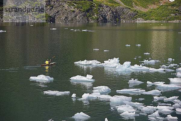 Mann fährt Kajak zwischen Eisbergen vom Shoup Glacier  Shoup Bay State Marine Park  Prince William Sound Southcentral Alaska
