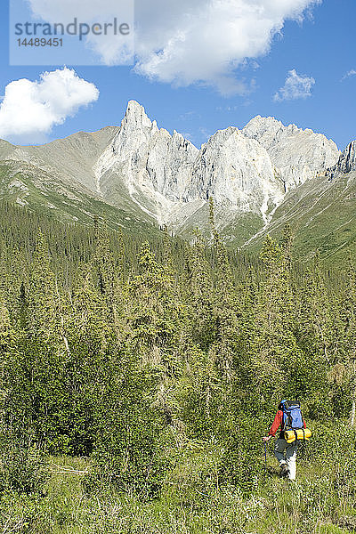 Mann auf Rucksacktour in der Brooks Range im Sommer im arktischen Alaska