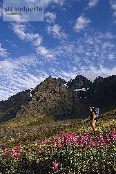 Backpacker Peters Creek Chugach Mountains Southcentral Alaska Sommer landschaftlich fireweed