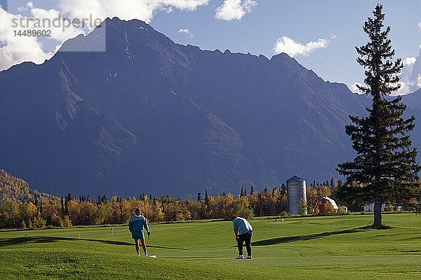 Menschen Pioneer Peak Golfing Baum Wald Grün Gras Alaska Southcentral Sommer Scenic Sky