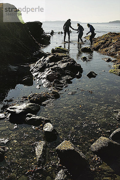 Eine Gruppe von Schnorchlern erkundet die Gewässer bei Ketchikan im Sommer in Alaska