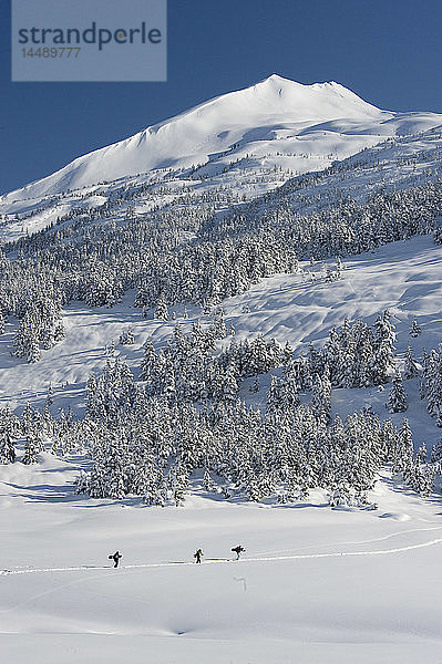 Drei Snowboarder wandern ins Hinterland zum Snowboarden am Turnagain Pass  Kenai Mountains  Kenai-Halbinsel  Southcentral Alaska  Winter