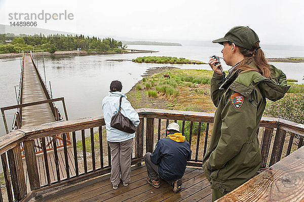 Ein Nationalpark-Ranger informiert die anderen Ranger per Funk über einen Braunbären in der Nähe  so dass sie die Brücke an der Aussichtsplattform des Brooks River im Katmai-Nationalpark im Südwesten Alaskas für den Fußgängerverkehr schließen müssen
