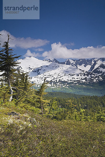 Mann ruht sich auf der Tundra aus und genießt die Aussicht auf die Kenai-Berge entlang des Lost Lake Trail in der Nähe von Seward  Alaska  im Sommer