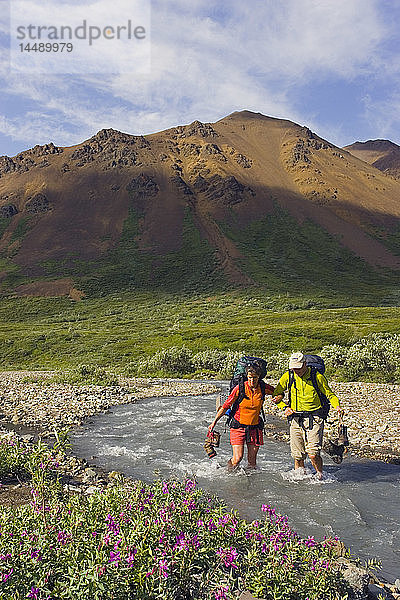 Paar watet durch den Stony Creek auf einer Wanderung im Denali-Nationalpark im Inneren Alaskas Sommer