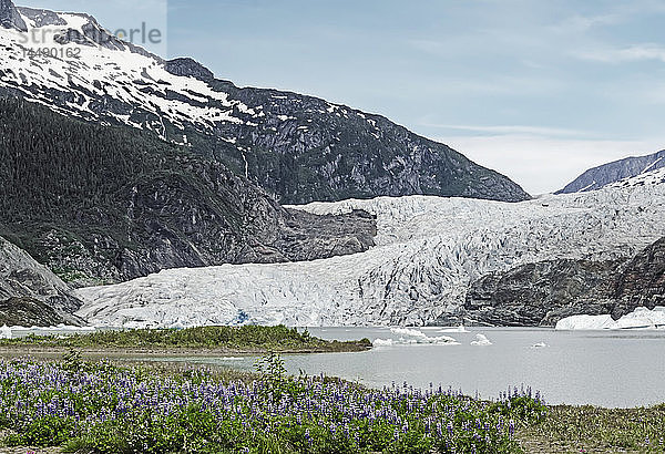 Aussicht auf den Mendenhall-Gletscher  Tongass National Forest  Südost-Alaska  Sommer