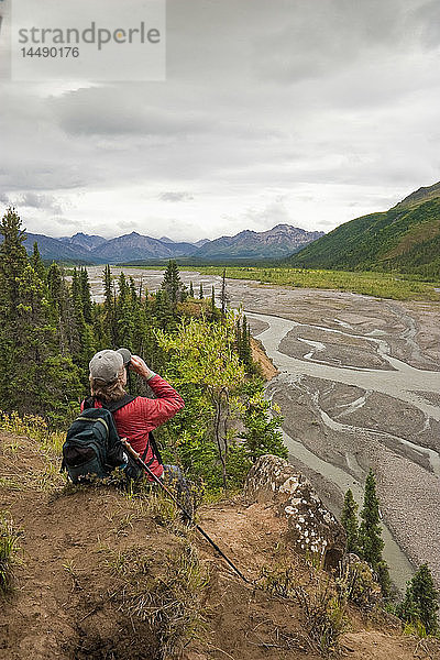 Wanderin hält an  um den Teklanika River und die Alaska Range in der Nähe des Teklanika Campgrounds zu betrachten  Denali National Park  Interior Alaska  Sommer