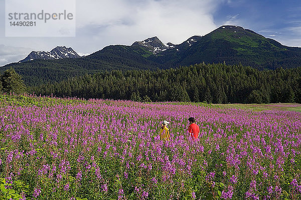 Paar wandert zwischen Fireweed Admiralty Is Tongass National Forest Südost Alaska Sommer