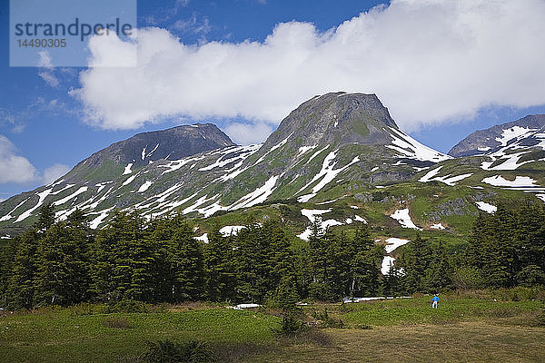 Frau beim Wandern in den Kenai Mountains auf dem Lost Lake Trail in der Nähe von Seward  Alaska  im Sommer