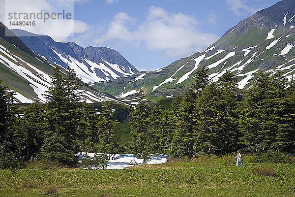 Frau beim Wandern auf einer Wildblumenwiese mit dem Berg Resurrection im Hintergrund entlang des Lost Lake Trail in der Nähe von Seward  Alaska  im Sommer