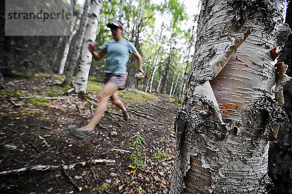 Frau joggt auf einem Pfad durch einen Birkenwald  Alaska