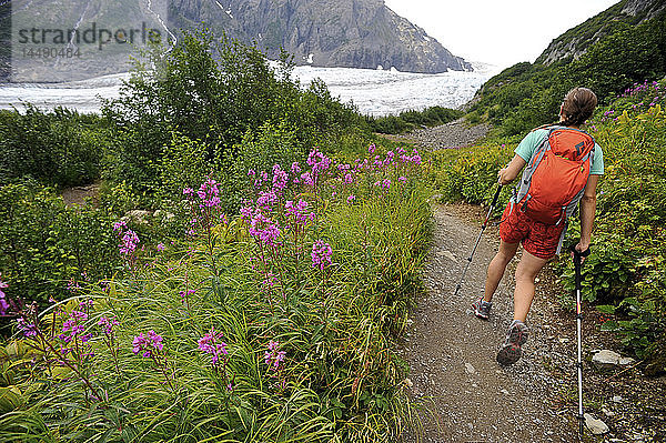 Frau beim Wandern auf dem Weg zum Exit Glacier im Harding Icefield  Kenai Fjords National Park  Kenai Peninsula  Süd-Zentral-Alaska  Sommer