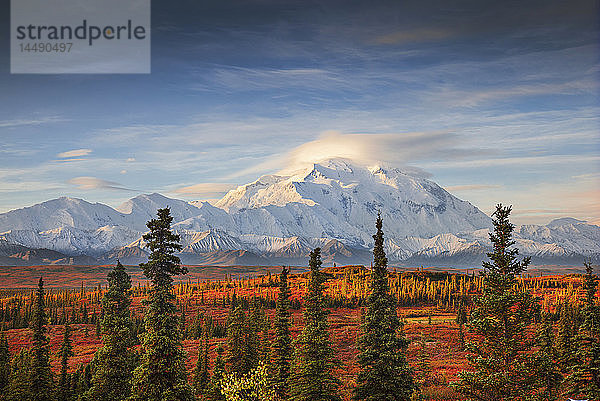 Frühmorgendliche Aufnahme der Nordwand des Mt. McKinley (Denali) vom Wonder Lake-Campingplatz aus mit Alpenglühen auf dem oberen Berg und linsenförmigen Wolken  die den Gipfel des Nordgipfels im Denali-Nationalpark im Inneren Alaskas bedecken. Herbst. HDR