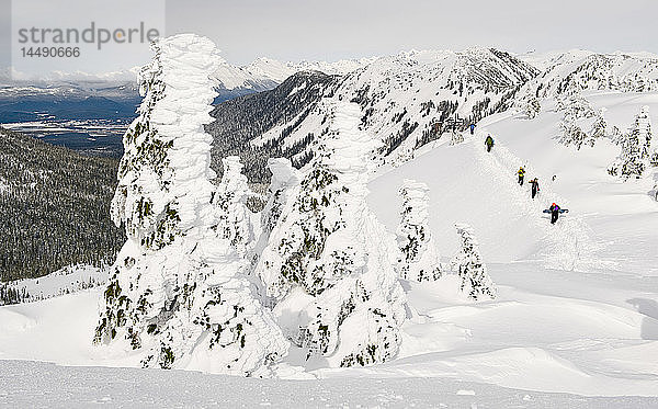 Backcountry-Skifahrer besteigen einen Hügel mit einem mit Reif bedeckten Baum im Vordergrund im Eaglecrest-Skigebiet  Juneau Alaska