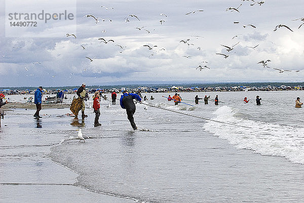 Menschen  die im Sommer an der Mündung des Kenai River in das Cook Inlet in Süd-Zentral-Alaska mit dem Netz fischen