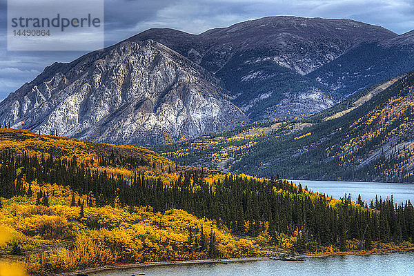 Herbstlandschaft am Tagish Lake südlich von Whitehorse  Yukon Territory  Kanada