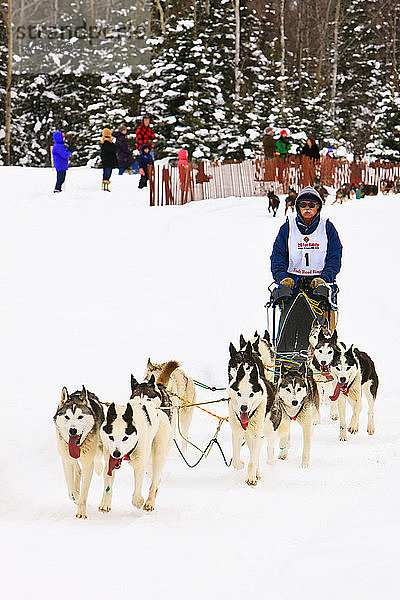 Musher J.P. Norris und Schlittenhunde bei den Fur Rendezvous World Sled Dog Championships auf dem Campbell Creek Trail in Anchorage  Southcentral Alaska
