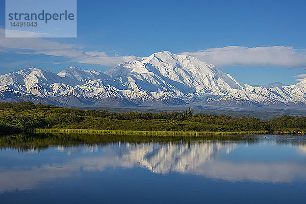 Blick auf den Mt. McKinley  der sich im Reflection Pond spiegelt  Denali National Park  Inneres Alaska  Frühling