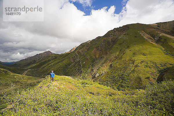 Frau beim Wandern auf einem Bergrücken in der Nähe des Sable Passes im Denali-Nationalpark  Innenalaska  Sommer/n