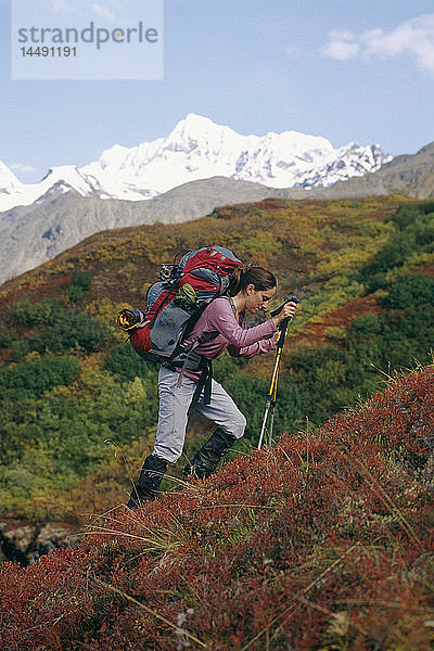 Eine Frau wandert den Surprise Pass hinauf und genießt die farbenfrohe Herbstvegetation im Wrangell St. Elisa National Park in Süd-Zentral-Alaska.