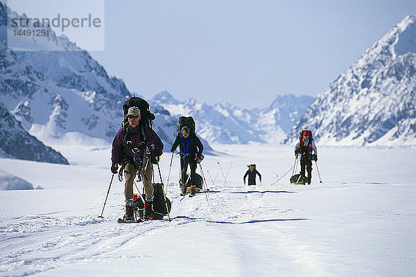 Bergführer führt Kletterteam auf West Buttress auf Skiern AK Mt McKinley Denali NP Spring Lower Kahiltna Glacier