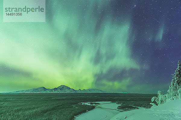 Grüne Nordlichter über dem Copper River und den Wrangell Mountains bei Glennallen  Süd-Zentral-Alaska  USA  Winter