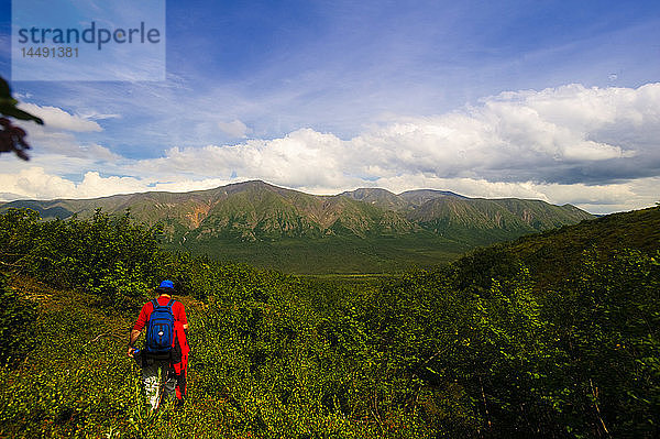 Männlicher Wanderer auf dem Skookum Volcano Trail mit den Boyden Hills in der Ferne  Wrangell Saint Elias National Park  Southcentral Alaska  Sommer