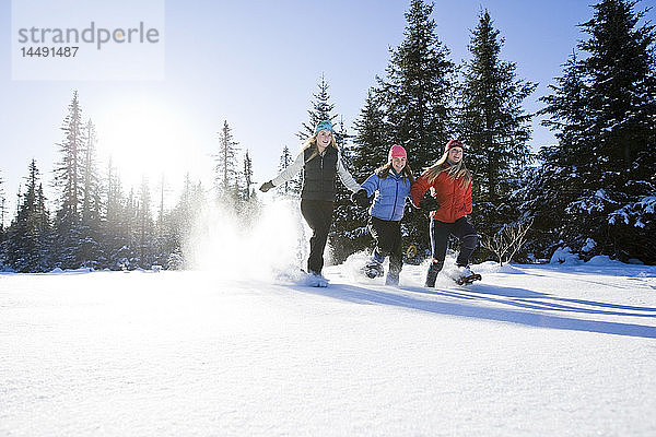 Drei junge Frauen auf Schneeschuhen genießen im Winter die freie Natur in der Nähe von Homer  Alaska.