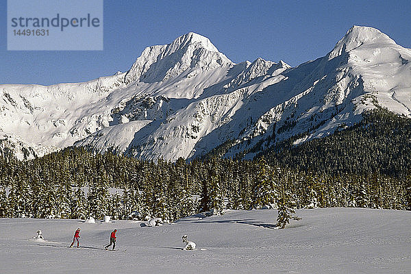 Skilangläufer Tongass Nat Forest in der Nähe von Juneau SE AK