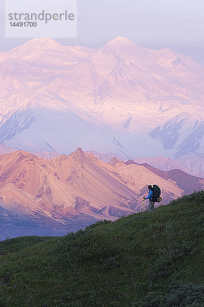 Frau beim Rucksacktourismus auf einer Klippe mit Blick auf das Thorofare River Valley Denali National Park Interior Sommer