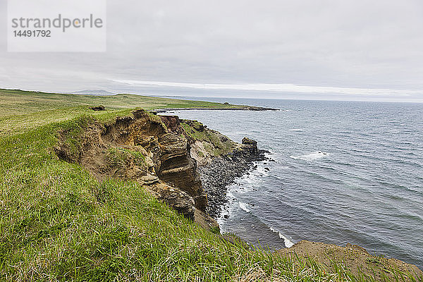 Erodierende Sandsteinklippen an der Küste der Beringsee  St. Paul Island  Südwest-Alaska  USA  Sommer