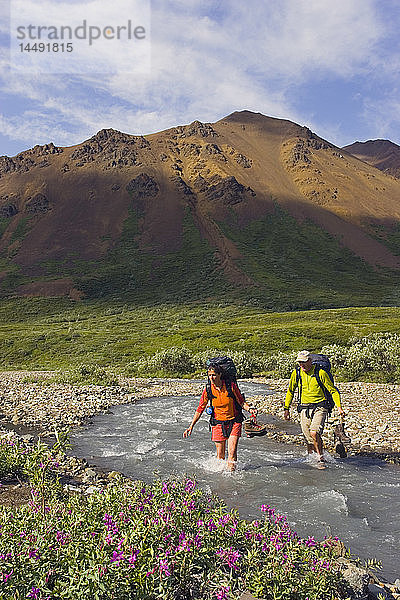 Paar watet durch den Stony Creek auf einer Wanderung im Denali-Nationalpark im Inneren Alaskas Sommer