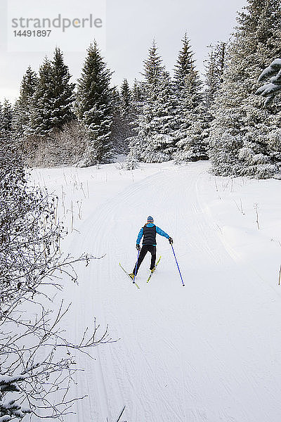 Frau beim Skilanglauf auf den Baycrest Ski Trails im Winter in der Nähe von Homer  Kenai Peninsula  Southcentral Alaska