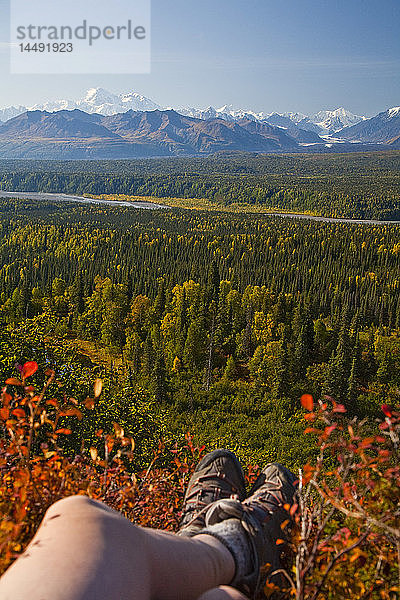 Herbstlandschaft mit den Beinen von Wanderern und der Südseite des Mt. Mckinley und der Alaska Range entlang des Little Coal Creek Trail  Southcentral  Alaska