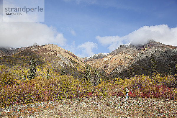 Wanderer  der mit einem Handy telefoniert  mit dem Sheep Mountain und der Talkeetna Range im Hintergrund  Southcentral Alaska  Herbst