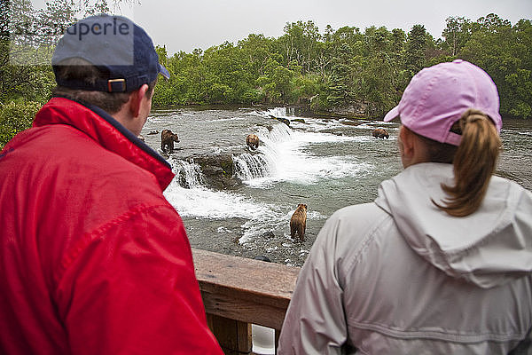 Besucher sehen Braunbären bei der Fütterung mit Rotlachs  Katmai National Park  Südwesten  Alaska