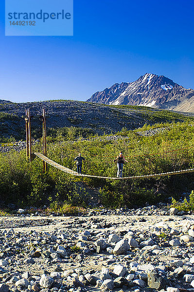 Wanderer überqueren eine Hängebrücke über den College Creek auf dem Weg zum Gulkana-Gletscher  Southcentral Alaska  Sommer/n